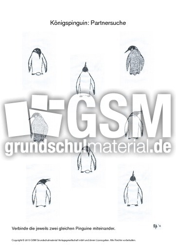 019 pinguin partnersuche schwierig.pdf